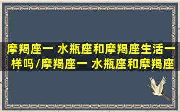 摩羯座一 水瓶座和摩羯座生活一样吗/摩羯座一 水瓶座和摩羯座生活一样吗-我的网站